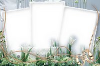 Frame_1172.jpg